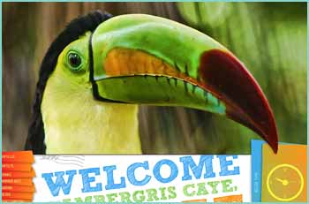 Belize's largest and most popular website. Belizean tours, scuba diving, lodging, history, travel tips,  large photo galleries, very active message board. Need information? Find it here.